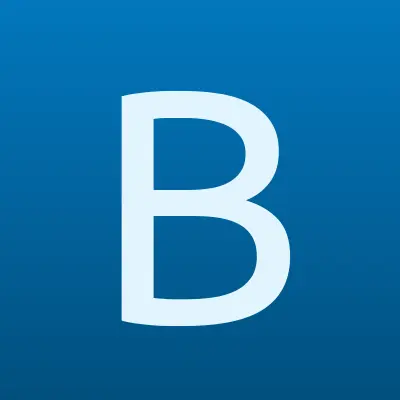 БНК-Финанс, микрофинансовая компания, лого-визитка